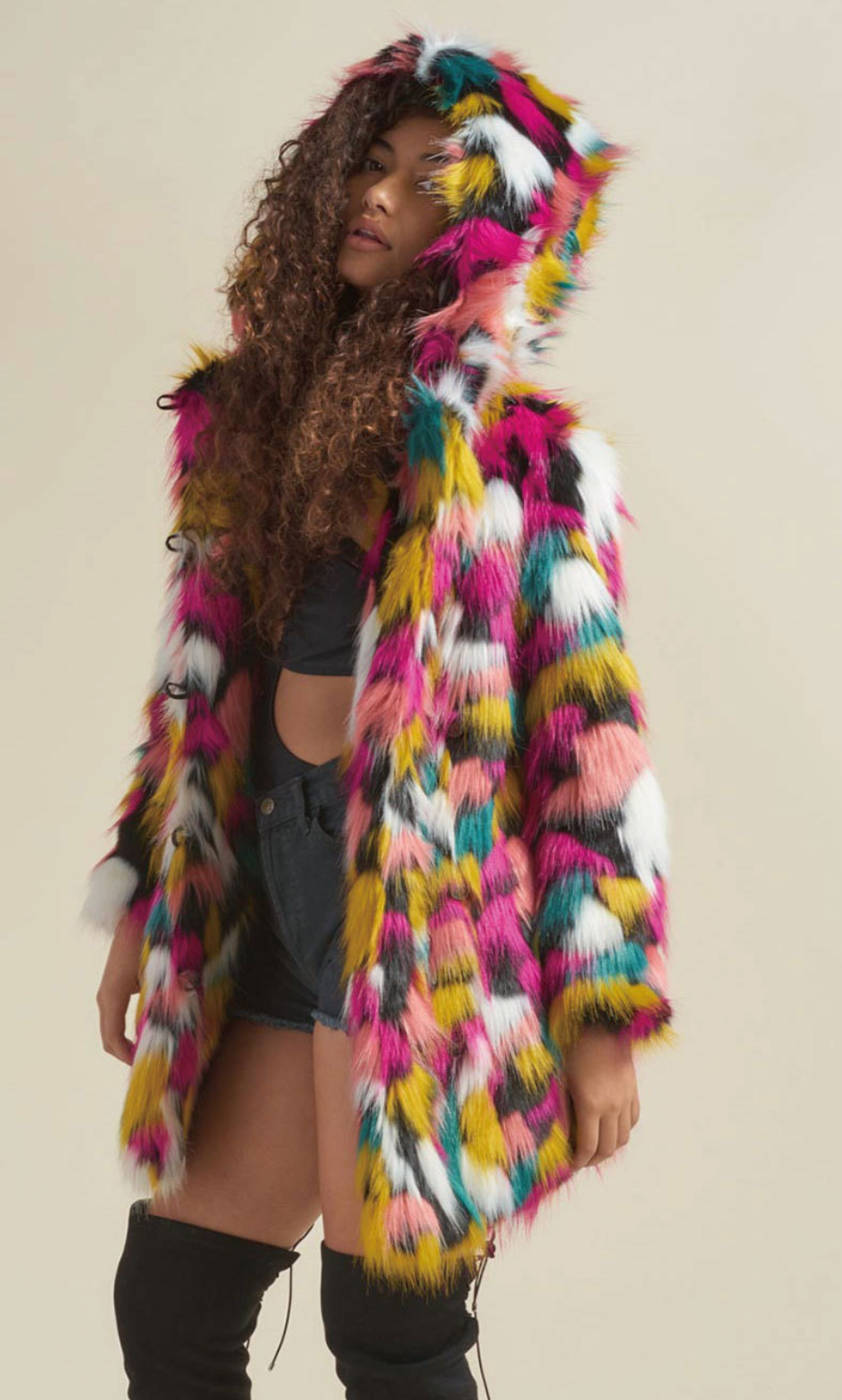 Rainbow Fur