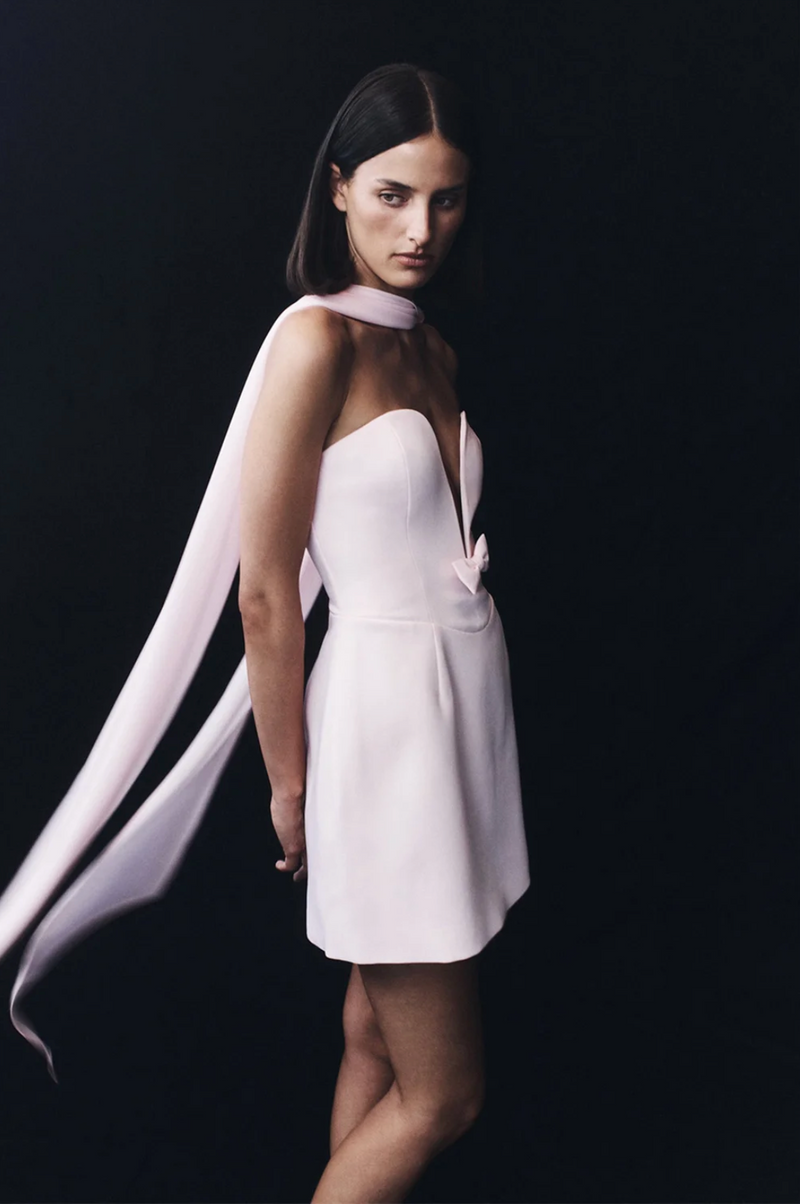 Poppies Mini Dress